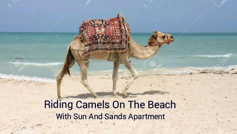 Sun And Sands Agadir